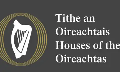 Submission to Oireachtas Committee Image